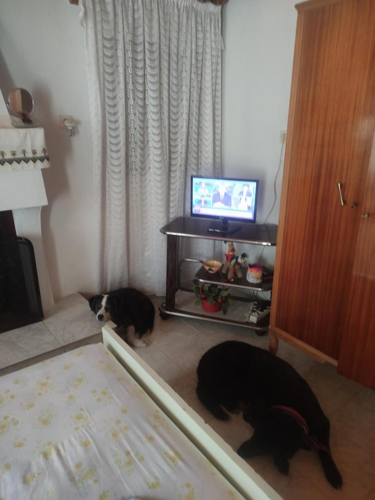 Trikeri Traditional Cozy House 외부 사진