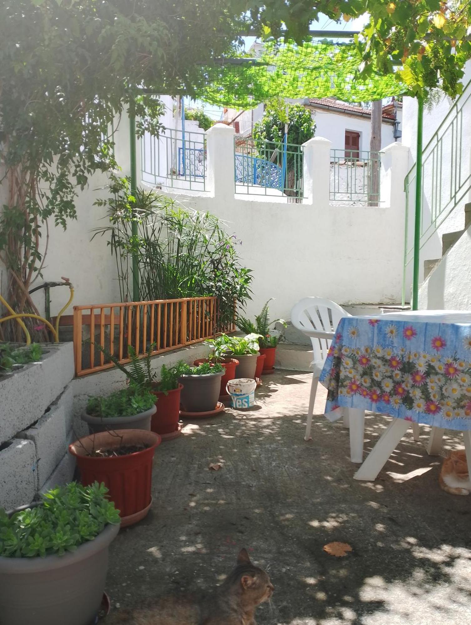 Trikeri Traditional Cozy House 외부 사진