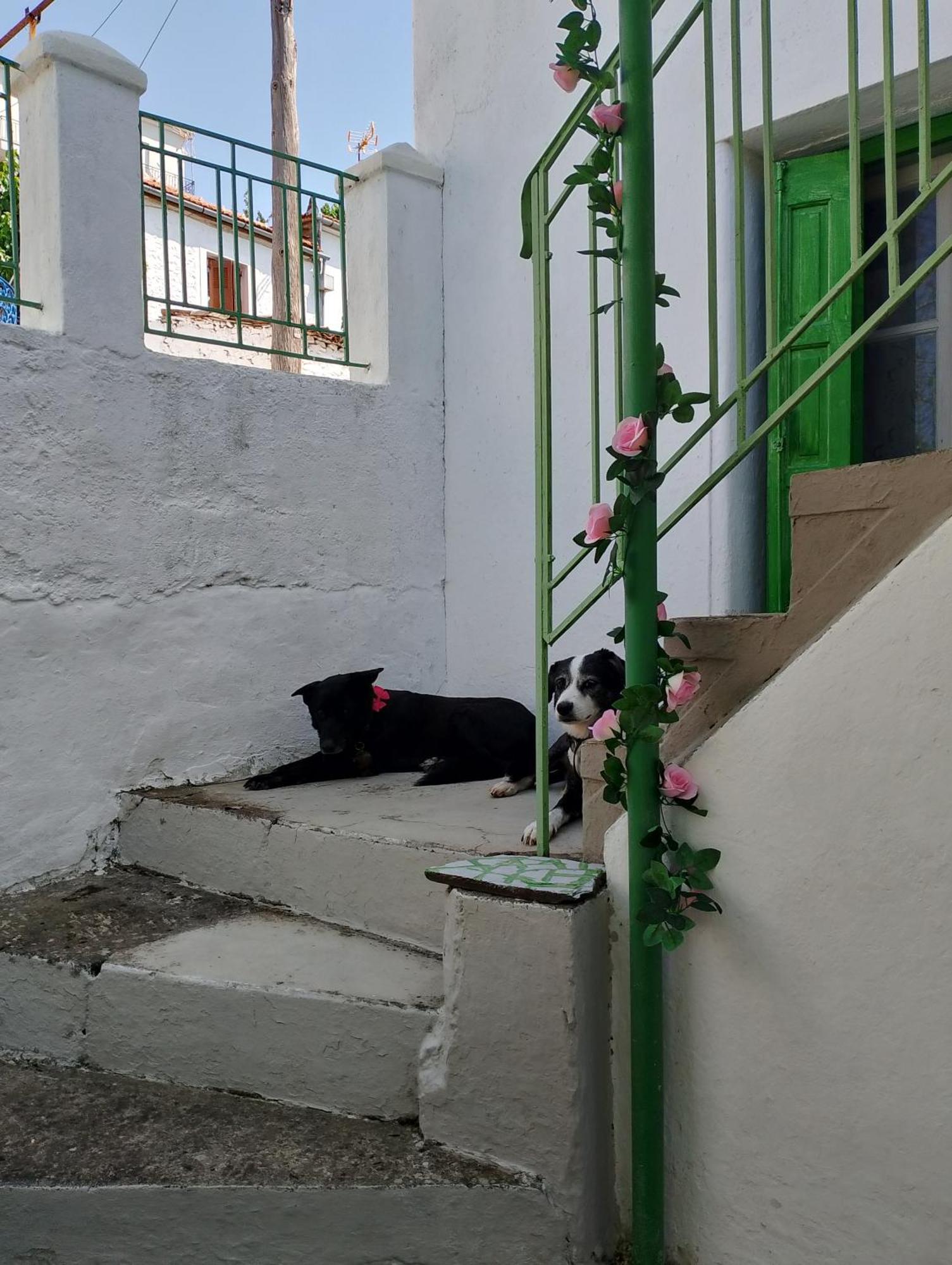 Trikeri Traditional Cozy House 외부 사진